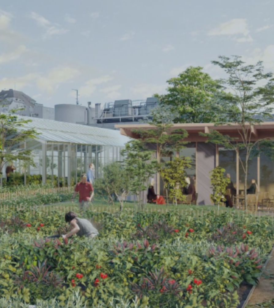 Innovation sociale (1)